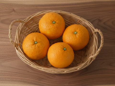 栽培期間中農薬不使用　甘夏５ｋｇ　M玉中心