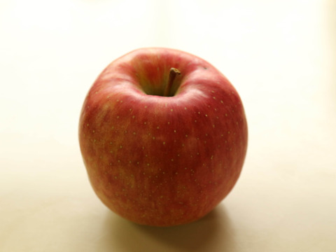 【完売】北斗 やさしい甘みの懐かしいりんご 2.5kg（5〜10玉）