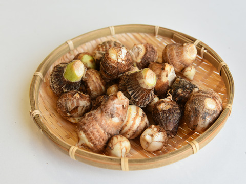 和らぎ農法　里芋　土垂（1袋）