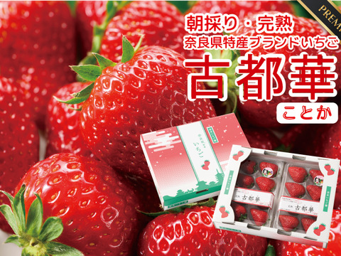 完熟いちご 古都華” 8～15粒（270～320ｇ）×2パック　一般ケース入り