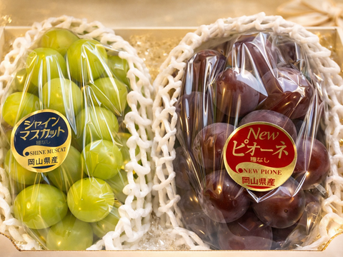 【特秀】岡山ぶどう贅沢セット2房｜シャインマスカット＆ピオーネ1.4kg（700g×2）
