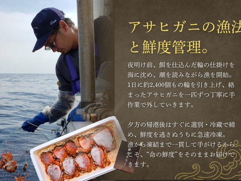 【希少ガニ】宮崎県産アサヒガニ［２kg］漁師直送・生冷凍