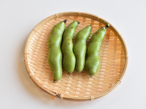 和らぎ農法　そら豆（1袋）