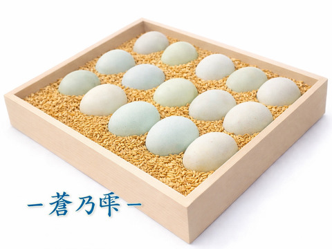 那須ブランド平飼い卵(アローカナ有精卵) -蒼乃雫-〈結・贈答用〉20個