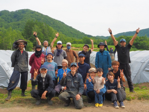 (P3L0.5kg)[有機JASパープルアスパラガス]カルデラの紫宮女(北海道)(春芽)