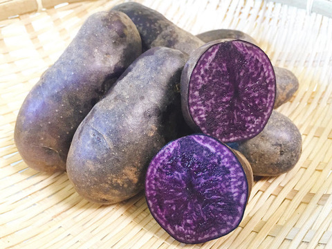 お買い得セット！めっちゃむらさきシャドークイーン4kg➕ピンク色じゃがいもノーザンルビー4kgセット