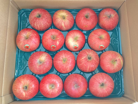 【11月発送】人気No.1！毎日食べたい！サンふじ（家庭用5kg・14~20玉）