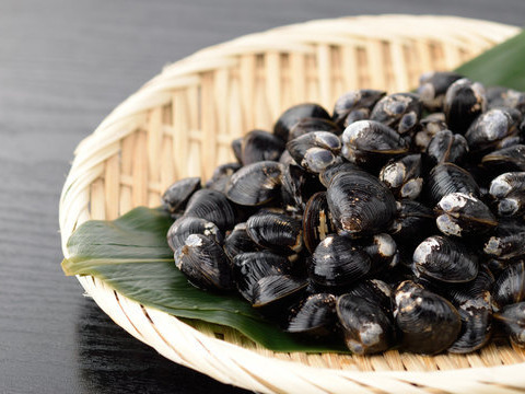 食べ比べセット中・大ミックス十三湖産大和しじみ2kg