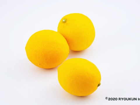 【宮崎県産】日南ポンカン＆レモン(各3kg×２箱）セット