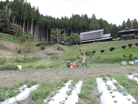 【セットで5%OFF】自然との調和＊至福のティータイムセット