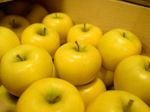 【冬ギフト】贈答用・葉とらずふじ&シナノゴールド パリパリ食感でおいしい組み合わせ！ 5kg（12〜20個）