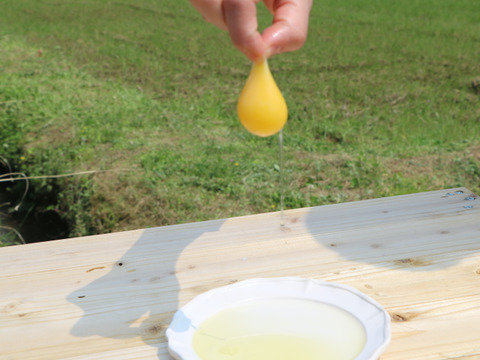 リピート率7割の弾力びっくり！平飼い卵！（6パック:60個）