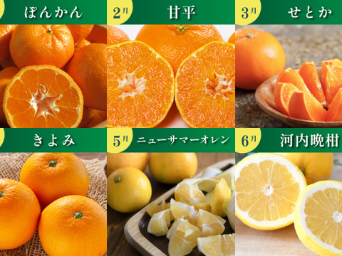 《みかんのある暮らし》三代目の月替わり定期便3kg~5kg+α