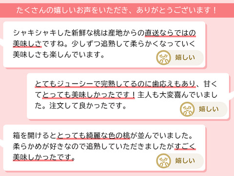 【すぐ発送！🍑山梨白桃】約４キロ！特大～大サイズ１１～１４個！一度食べたら忘れられない  その時期一番おいしい品種をお届け【品種おまかせ】
