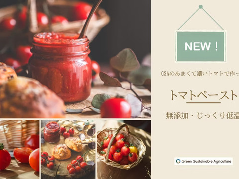 トマトページ 竹田市産】高原トマト 4kg (約16～28個) 【ベジスタとまとちゃん