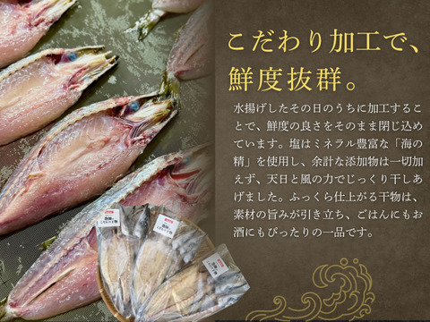 【海の精×天日干し】カマスの無添加干物（３枚入）