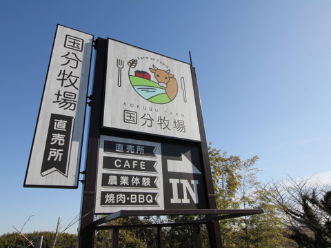 【食べ比べ】国分牛焼肉「赤身セット」合計600ｇ(2～3人前)