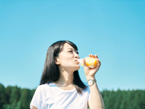 ＼宮崎青パパイヤ酵素スムージー／ビタミンシー 2本セット