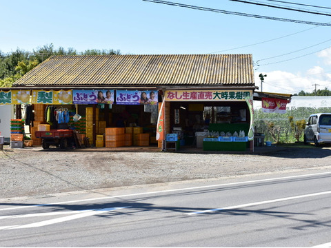 【夏ギフト】なつしずく梨【贈答品】5kg箱 　8月発送！