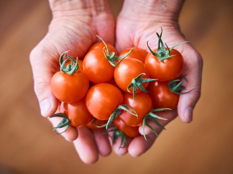 思わずほおばりたくなるコクと旨み〜受賞歴ありたっぷり1kg