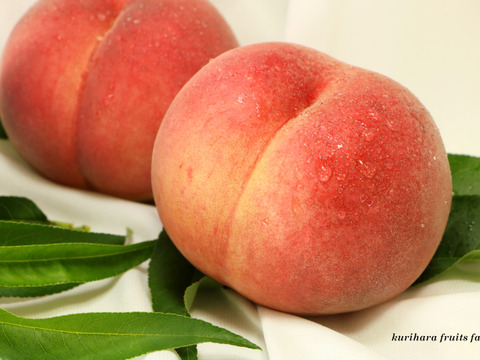 収量限定！生育希少の大特価販売！ 【美郷】 3㎏ 9～14玉前後