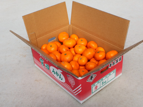 【冬ギフト】農家直送！有田みかん5kg≪訳あり（サイズ混合）≫【平武農園】～蛍飛ぶ町から旬の便り～　和歌山｜有田｜田口｜ギフト｜こだわり　産地直送　お取り寄せ