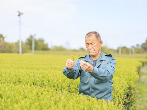 からだに届け、お茶の栄養まるごと。農薬不使用で育てた安心粉末緑茶