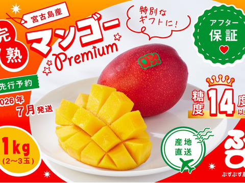 【2026夏ギフト】ぷすぷすプレミアムマンゴー1キロ（2～3玉）