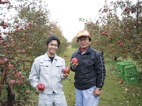 ≪予約受付中≫信州のりんご【サンふじ】約3kg