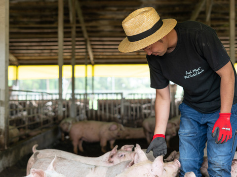 赤身を堪能！茨城で育った"だいじょ豚"の『とっくり焼豚』　１本