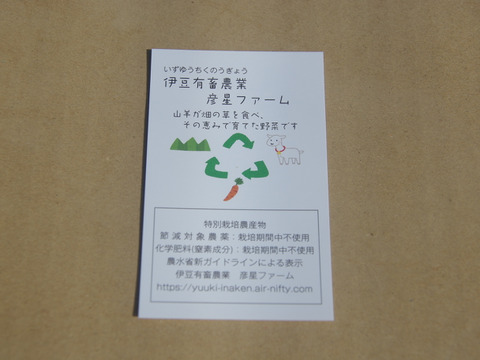 【農薬化学肥料栽培期間中不使用】🐞生落花生おおまさり＊2㎏＊2025年9月下旬より限定販売🥜今年の分は終わりました