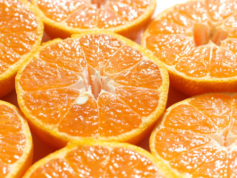 ゆらみかん ふつうからちいさめ9.5kg　12/15-12/20頃発送予定