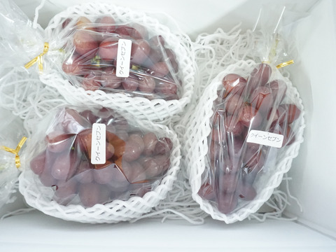 平井利右衛門の赤ぶどう(クイーンセブン/2～3房)