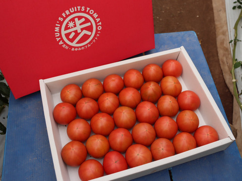 【食べれば分かる】糖度8度以上　フルーツトマト２Kg｜高知県香南市産｜キズあり•お試し