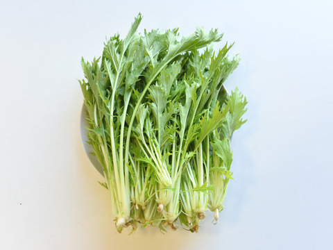 和らぎ農法　水菜（1袋）
