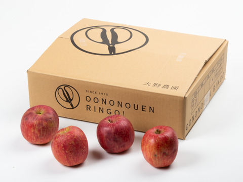 サンふじA規格　大野農園を代表する品種「りんごの王様」10～13個程度（約5ｋ）