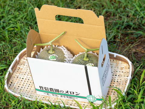 【夏ギフト】さわやかジューシーな食感。鳥取固有品種のペルルメロン 約2kg2玉、化粧箱入り