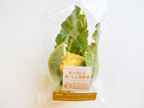 和らぎ農法　オレンジカリフラワー　大（1～3個）