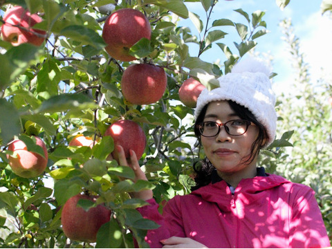 秋の味覚詰め合わせ【果実の宝箱】りんご・洋ナシ・和梨・ぶどう2.5kg～3㎏