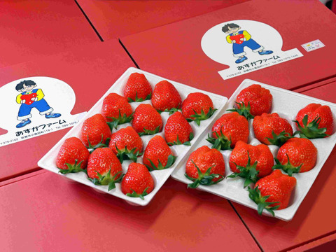 【ジューシー】とにかく甘いいちごを皆様にお届けしたい約400ｇ 2パック※蜜入りのものあり