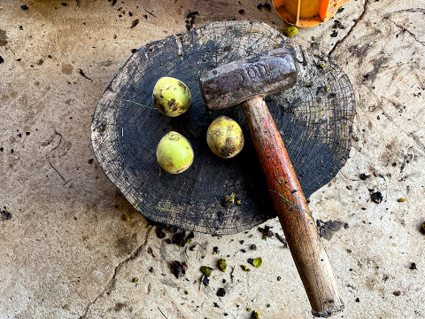 【数量限定】国産くるみ 山グルミ オニグルミ 栽培期間中農薬不使用 150g
