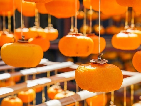 【ゲン担ぎ福袋】『あんぽ柿』約１kg (４パック）　しっとりトロッと冬の贅沢スイーツ（冷凍）