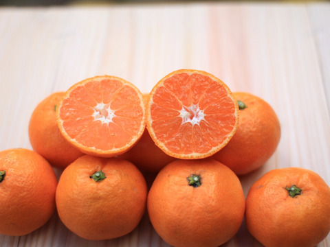 （超限定）濃厚ゆら早生！　10ｋｇ（箱込み）