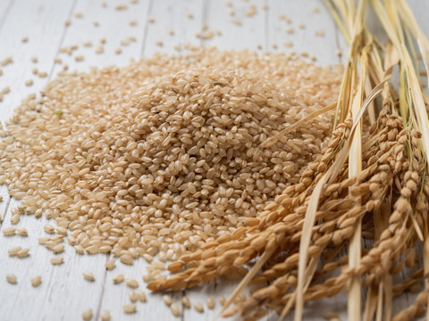 令和4年度産玄米🌾長崎県認定特別栽培米ひのひかり１㎏🌾宮下さんちのおいしいお米