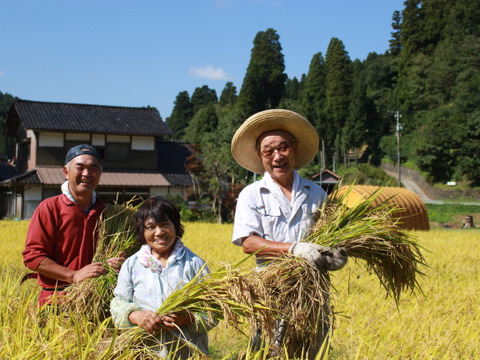 天皇献上米のコシヒカリ（特別栽培米）玄米4kg