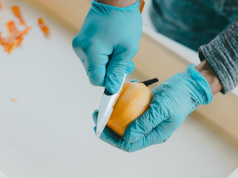 プレミアム干柿SHUKU「西条柿」15玉