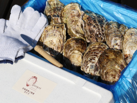 大振りの身が詰まったThe Oyster！【三陸ジオイスター】20個入り