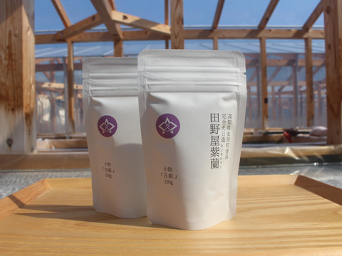 高知　完全天日塩　小粒100g×2袋（別途送料360円）