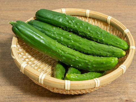 【京都の夏物語】アグリ―ジョの夏の定番野菜３品（約2kg）