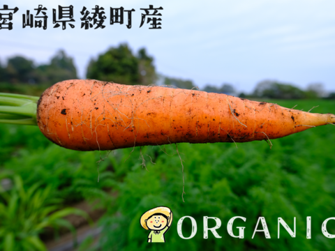 香りが濃い～🥕皮ごと食べたい
大きめ有機人参 宮崎県綾町産(ご家庭用10kg)